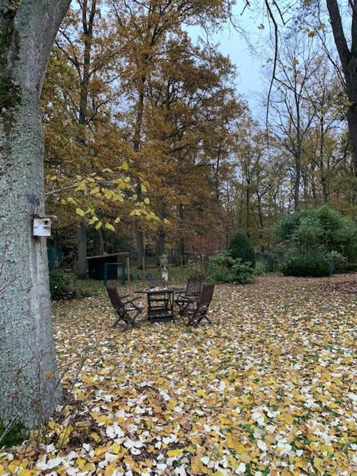 Maisonnette En Clairiere De Foret Gambais Buitenkant foto
