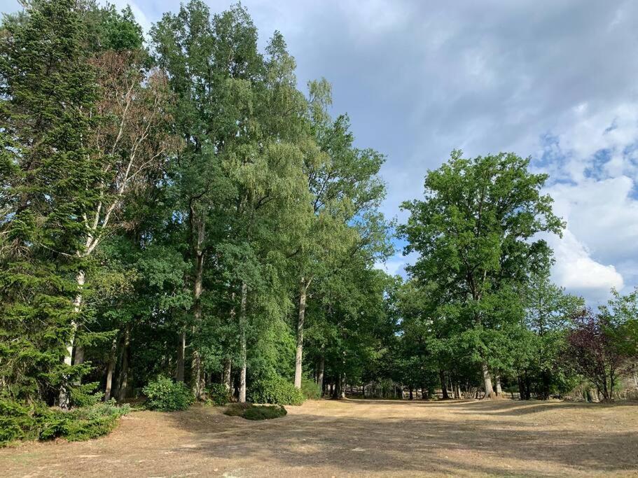 Maisonnette En Clairiere De Foret Gambais Buitenkant foto